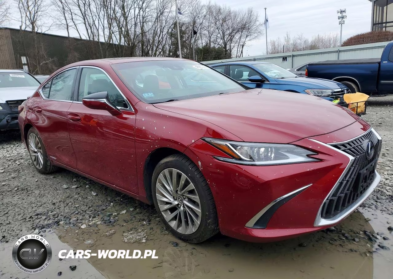 2022 Lexus Es 300H Luxury VIN:58AEA1C16NU017497 - 4