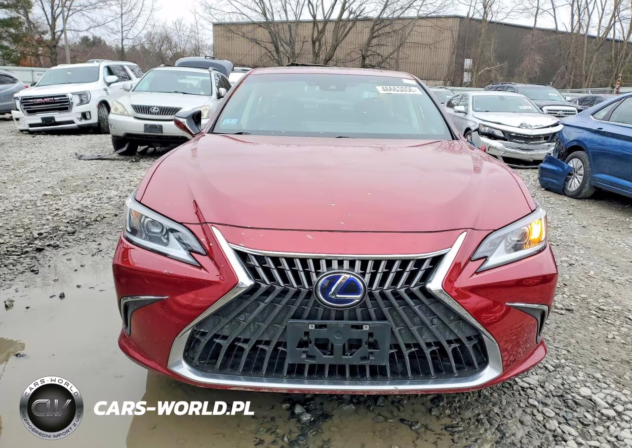2022 Lexus Es 300H Luxury VIN:58AEA1C16NU017497 - 5
