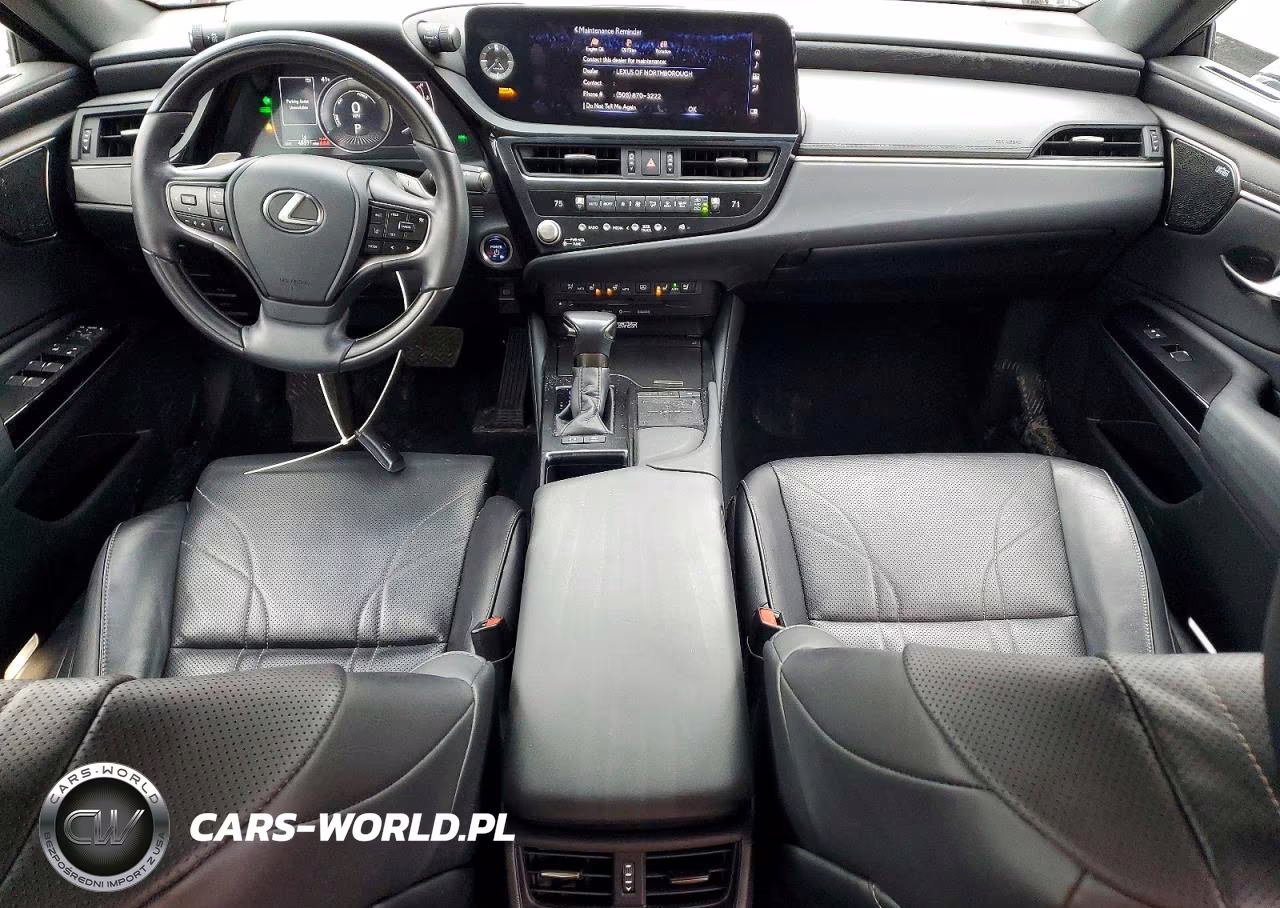 2022 Lexus Es 300H Luxury VIN:58AEA1C16NU017497 - 8