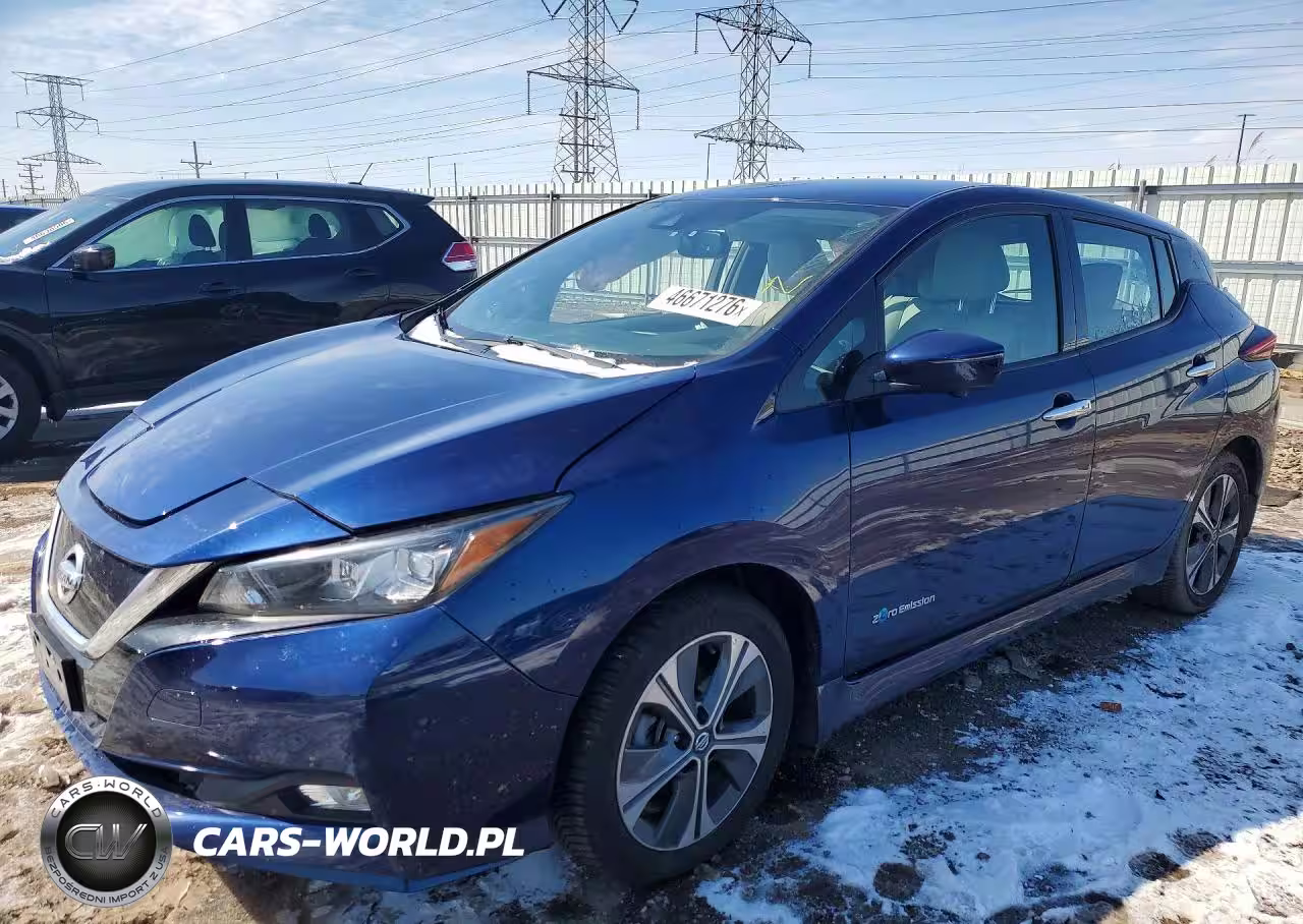 2019 Niss Leaf