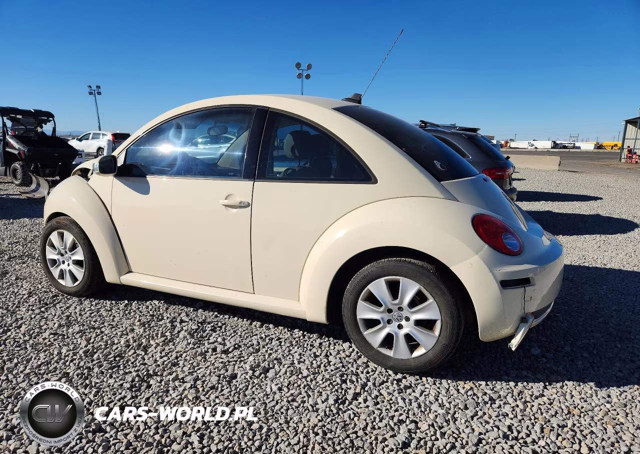 2009 Volkswagen New Beetle S VIN:3VWPW31C89M503578 - 2