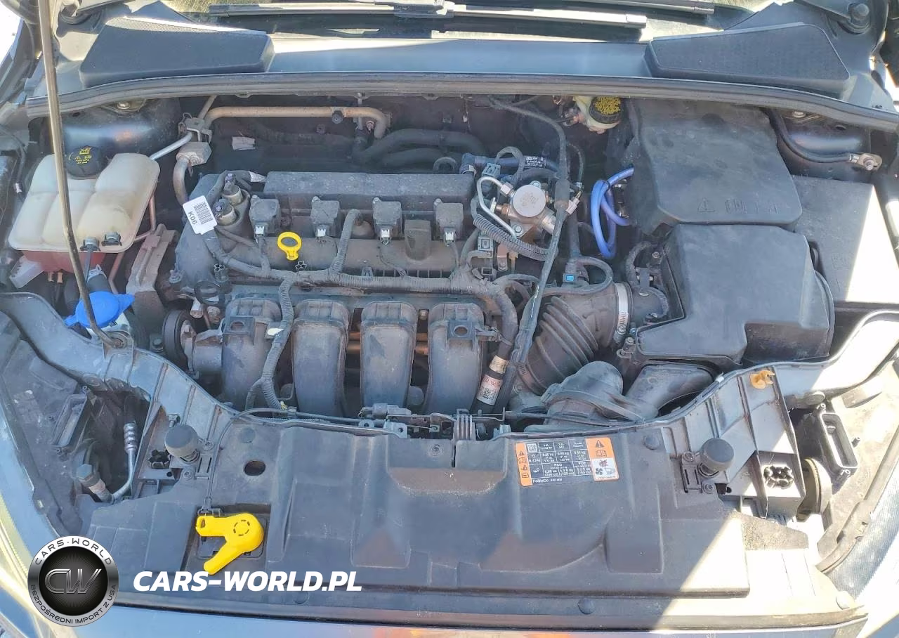 2016 Ford Focus Se VIN:1FADP3K21GL398444 - 11