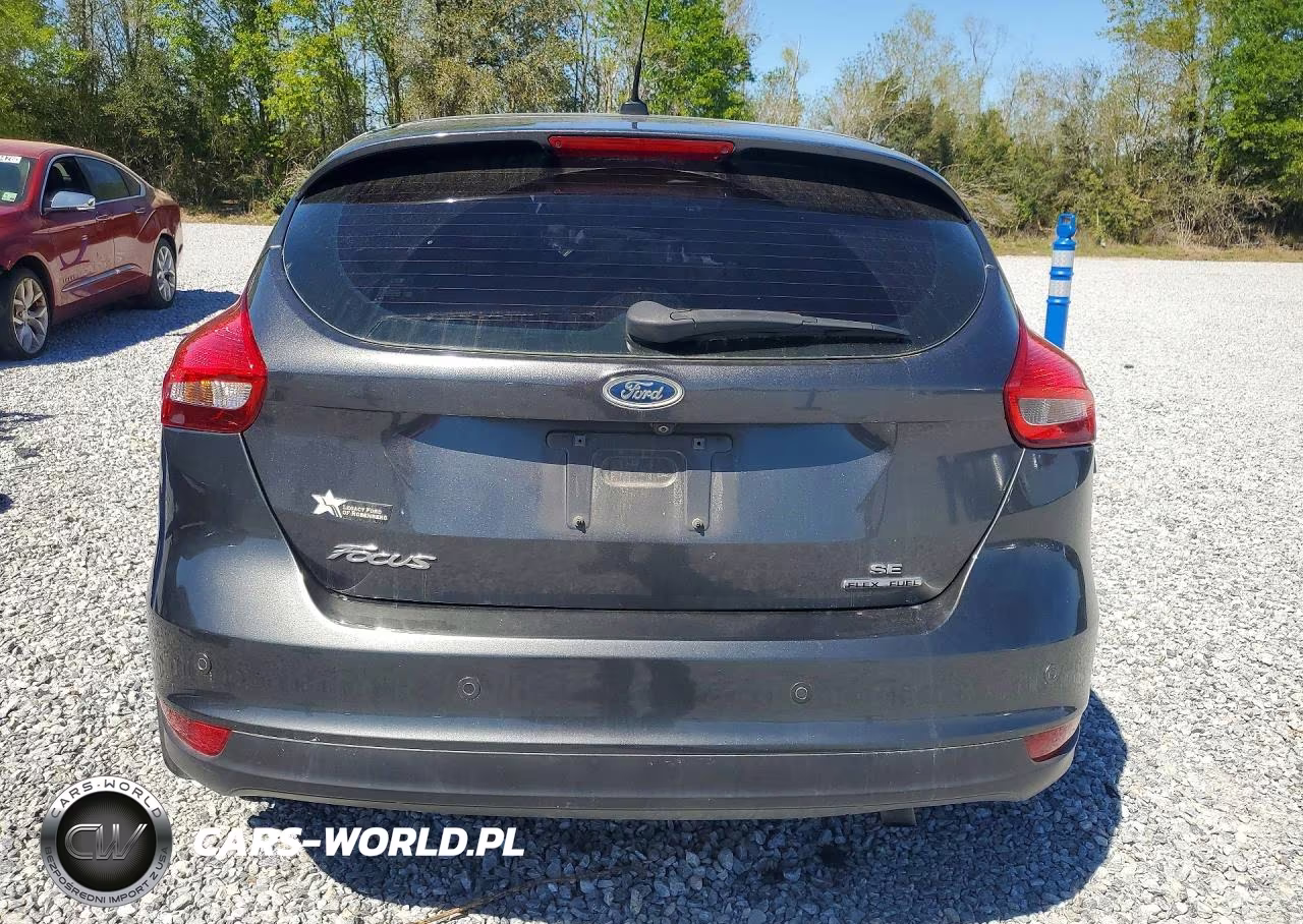 2016 Ford Focus Se VIN:1FADP3K21GL398444 - 6