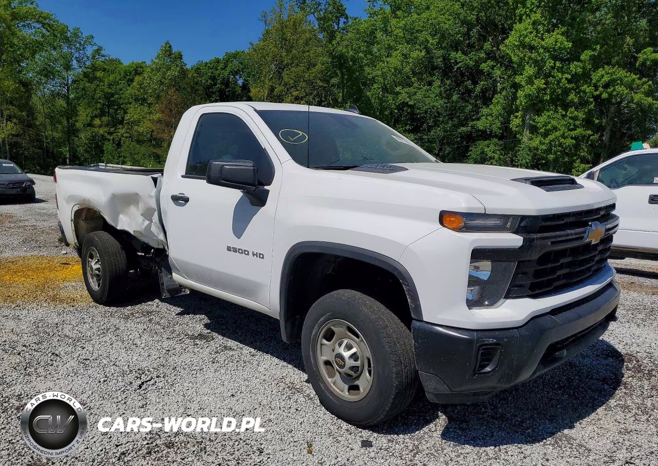 2025 Chevrolet Silverado C2500 Heavy Duty VIN:1GC0ALE76SF191850 - 4