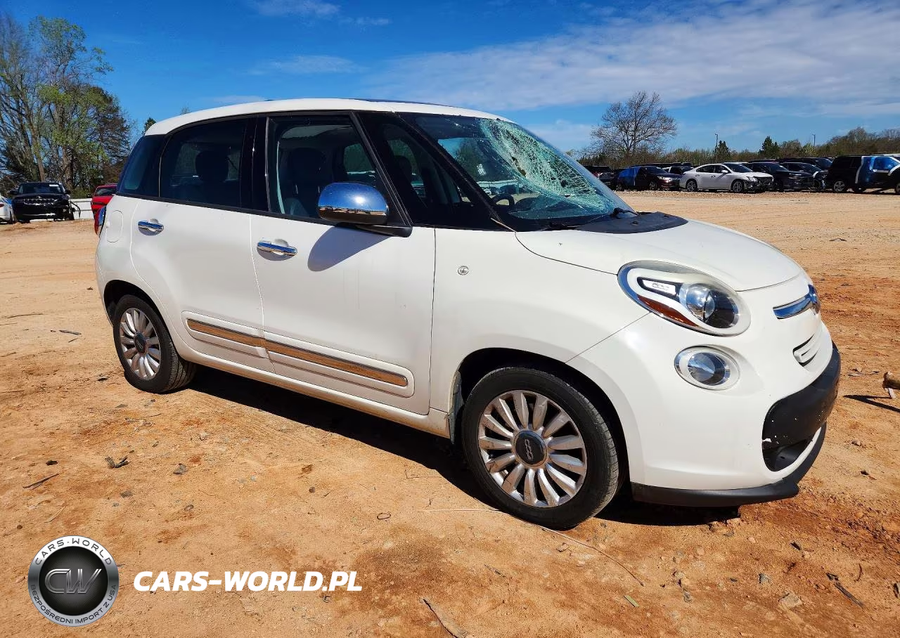 2014 Fiat 500L Lounge VIN:ZFBCFACH9EZ029439 - 4