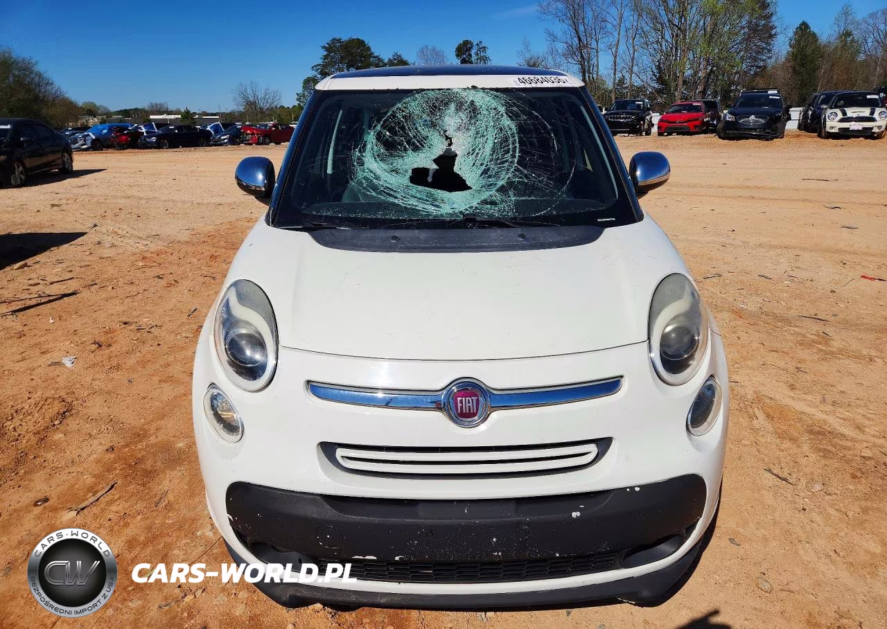 2014 Fiat 500L Lounge VIN:ZFBCFACH9EZ029439 - 5