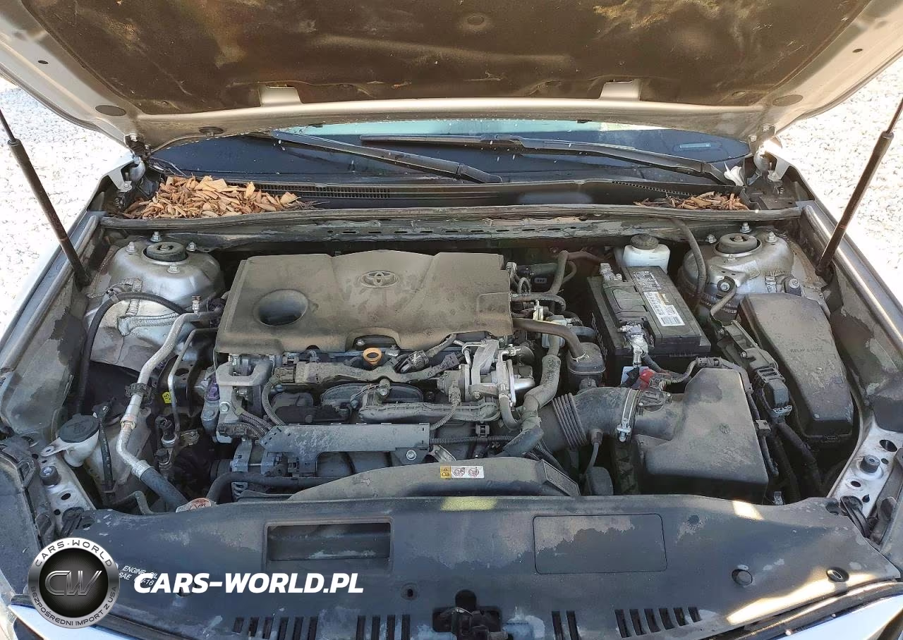 2019 Toyota Camry Le VIN:4T1B11HK6KU191464 - 11