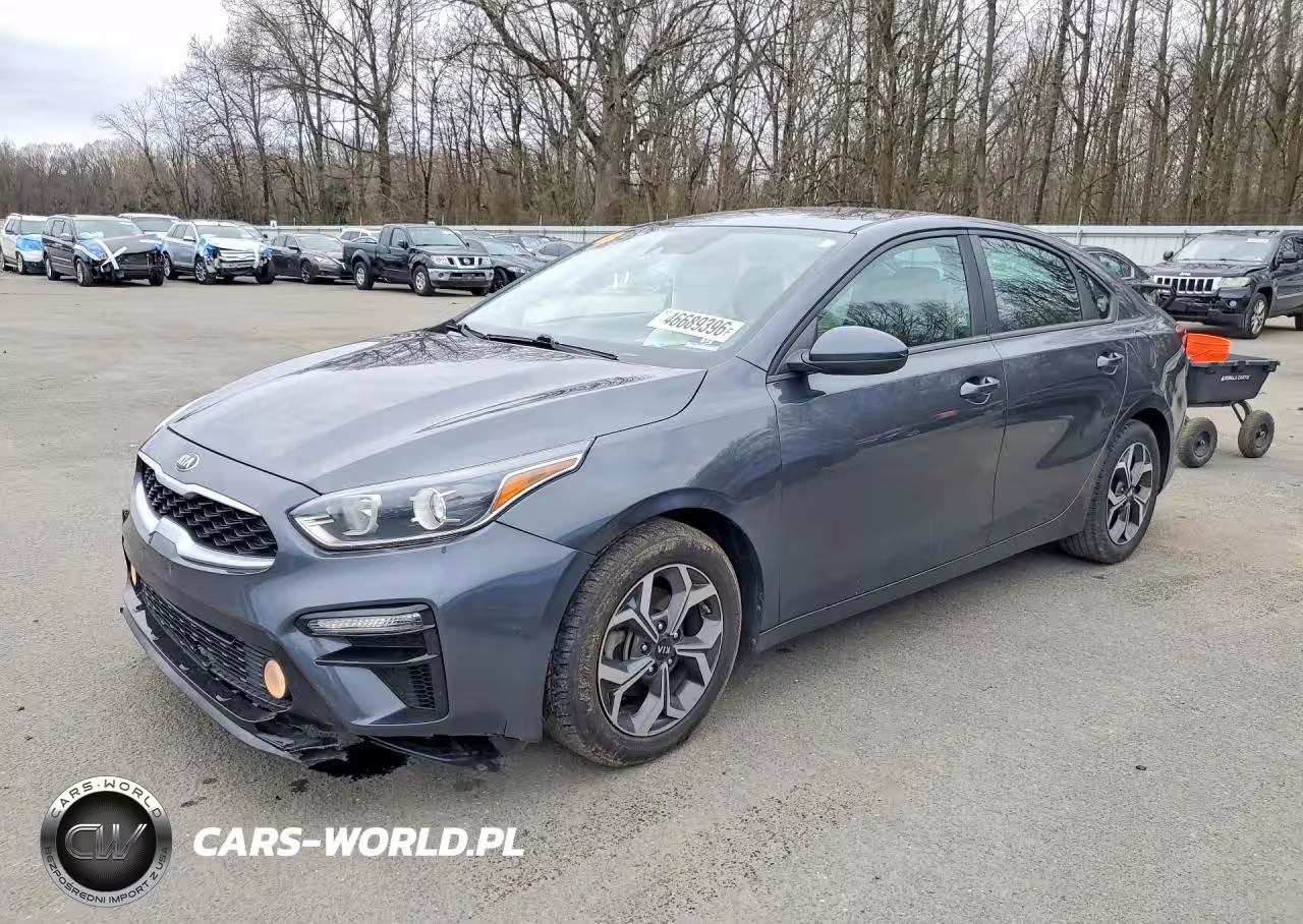 2019 Kia Forte Lxs