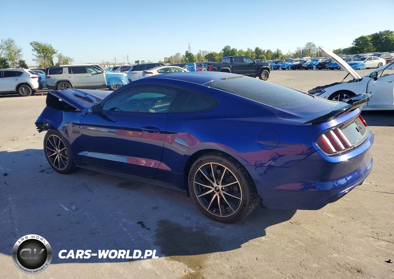 2016 Ford Mustang Gt VIN:1FA6P8CF2G5265879 - 2