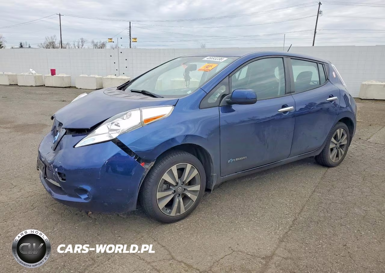2016 Niss Leaf