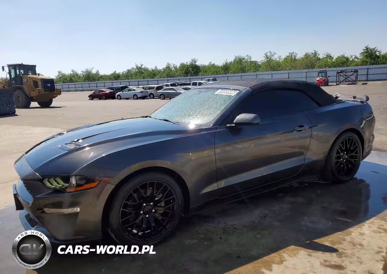 2019 Ford Mustang