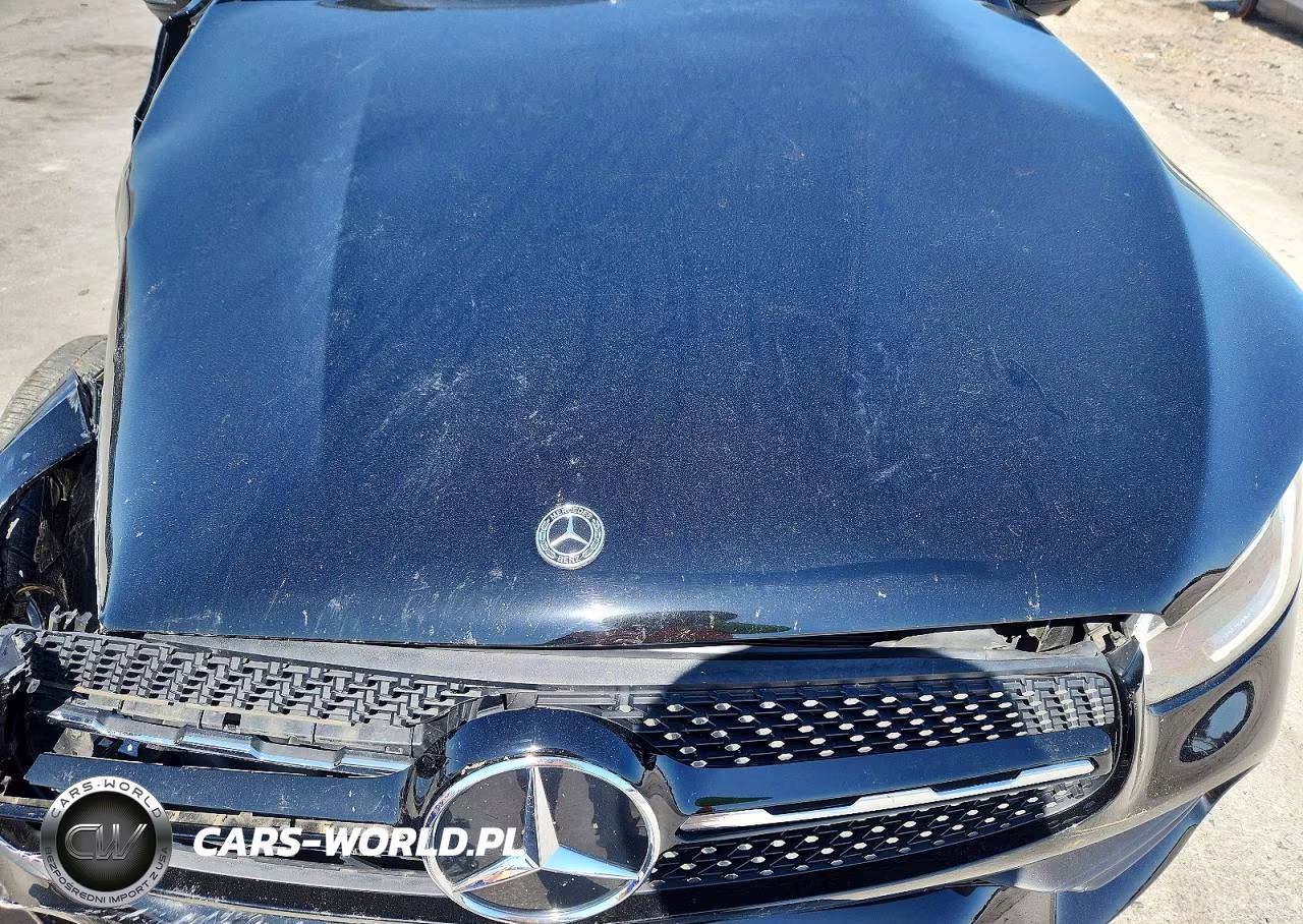 2021 Mercedes-Benz Glc 300 VIN:W1N0G8DB1MV274573 - 12
