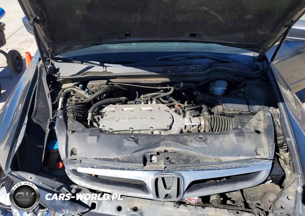 2006 Honda Accord Ex VIN:1HGCM66546A021008 - 11