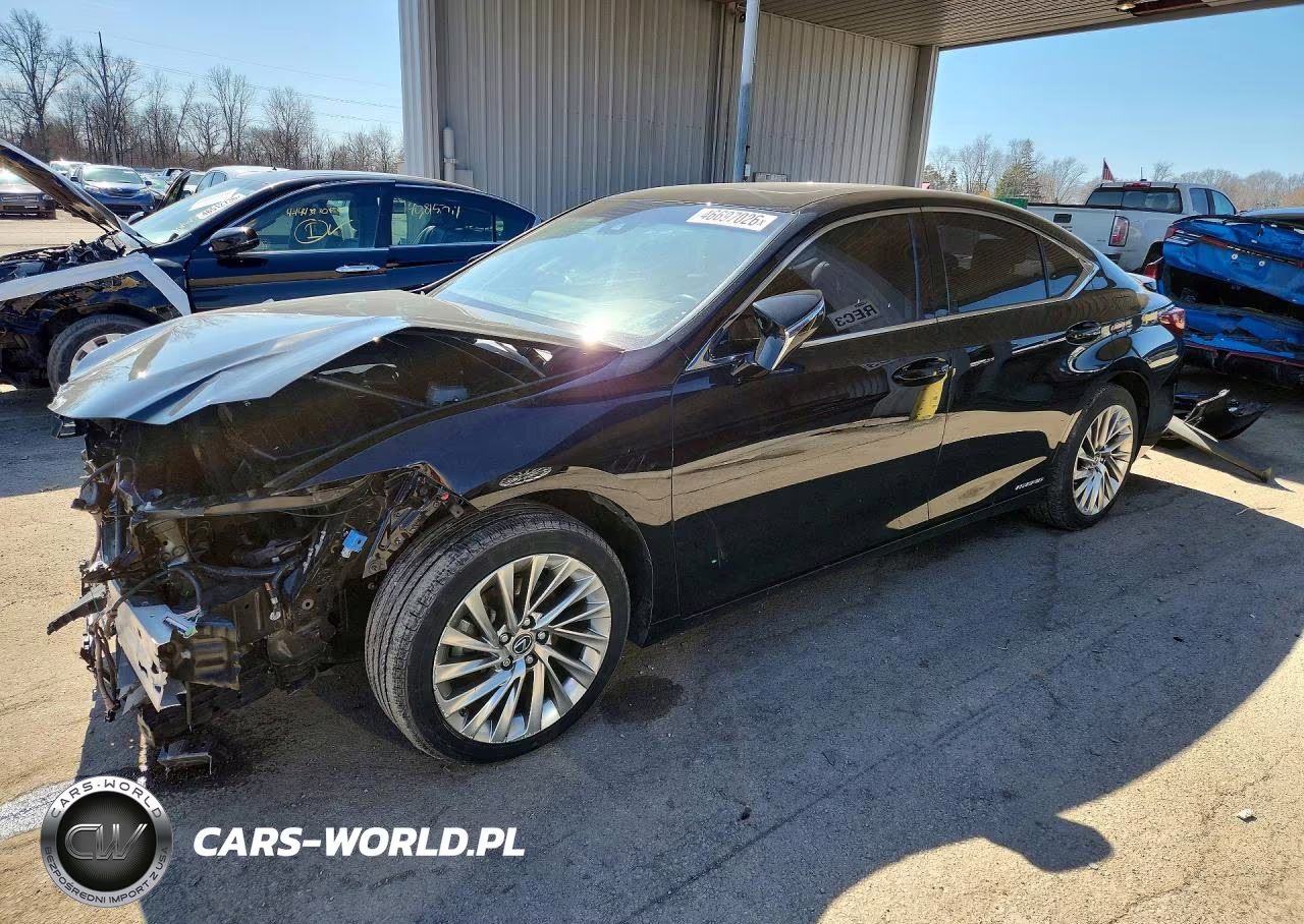 2019 Lexus Es 300H Luxury