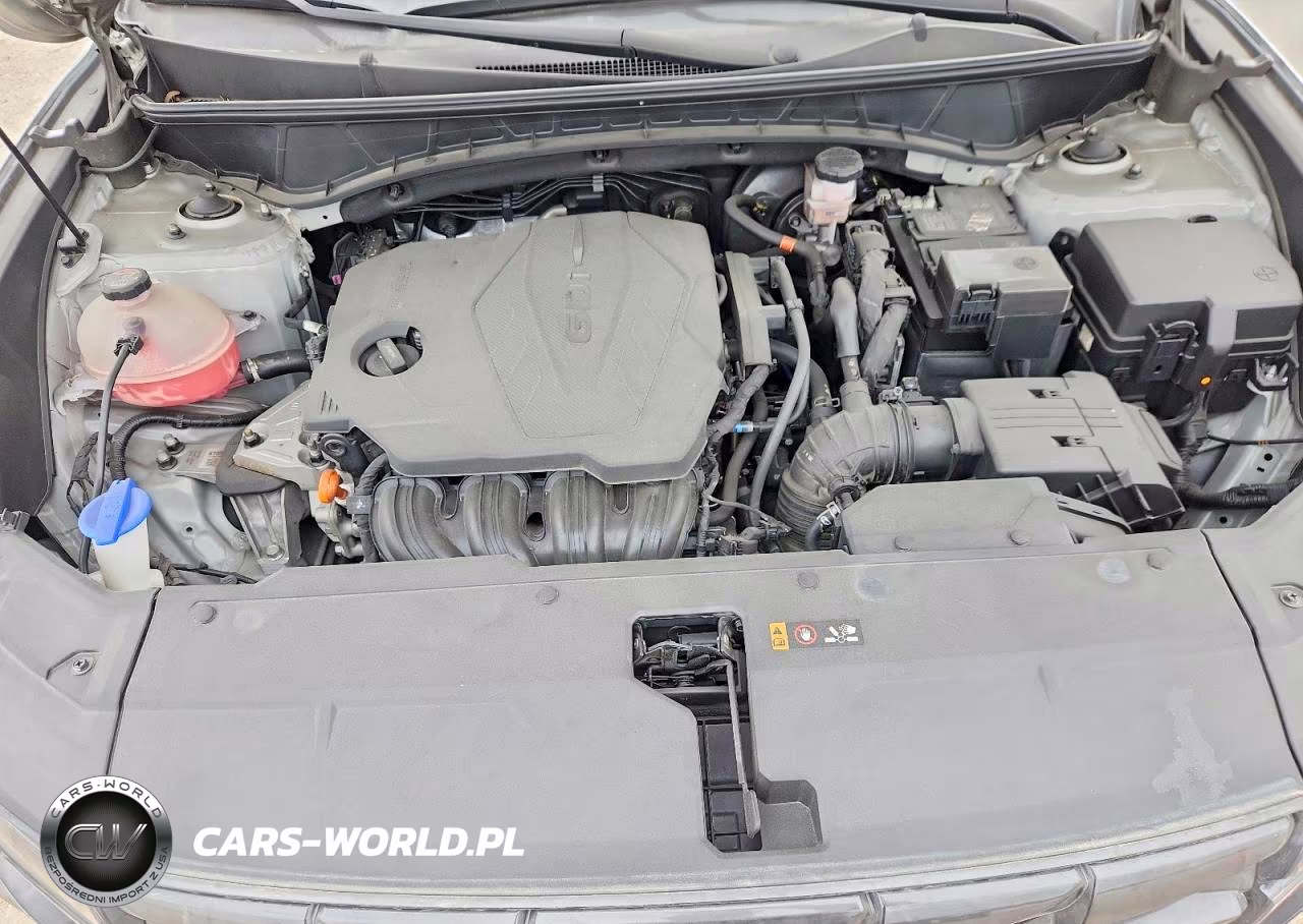2024 Hyundai Tucson Sel VIN:5NMJF3DEXRH348220 - 12