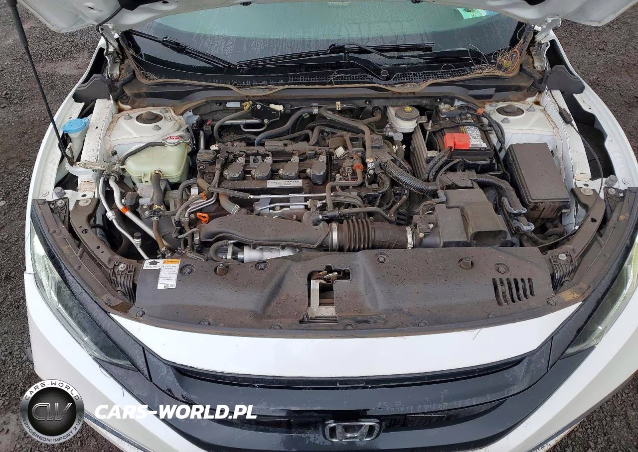 2020 Honda Civic Exl VIN:19XFC1F75LE010000 - 11