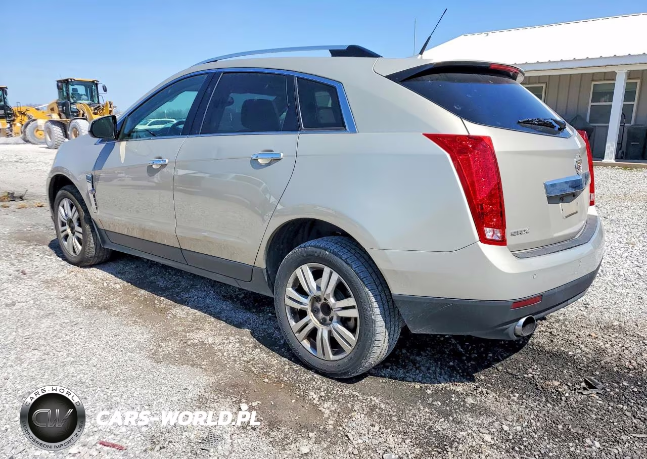 2010 Cadillac Srx Luxury Collection VIN:3GYFNAEY5AS515211 - 2