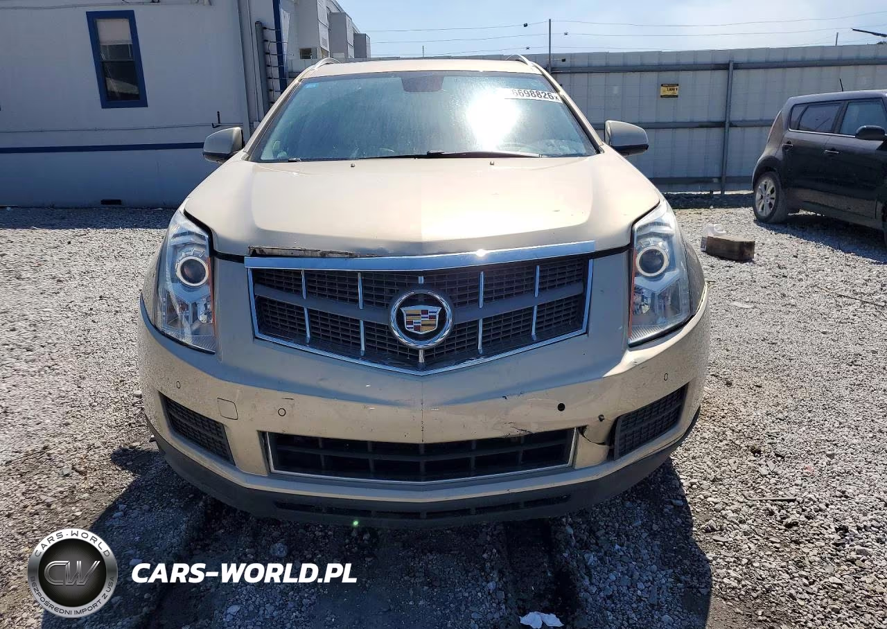 2010 Cadillac Srx Luxury Collection VIN:3GYFNAEY5AS515211 - 5