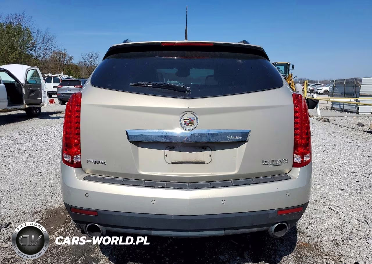 2010 Cadillac Srx Luxury Collection VIN:3GYFNAEY5AS515211 - 6
