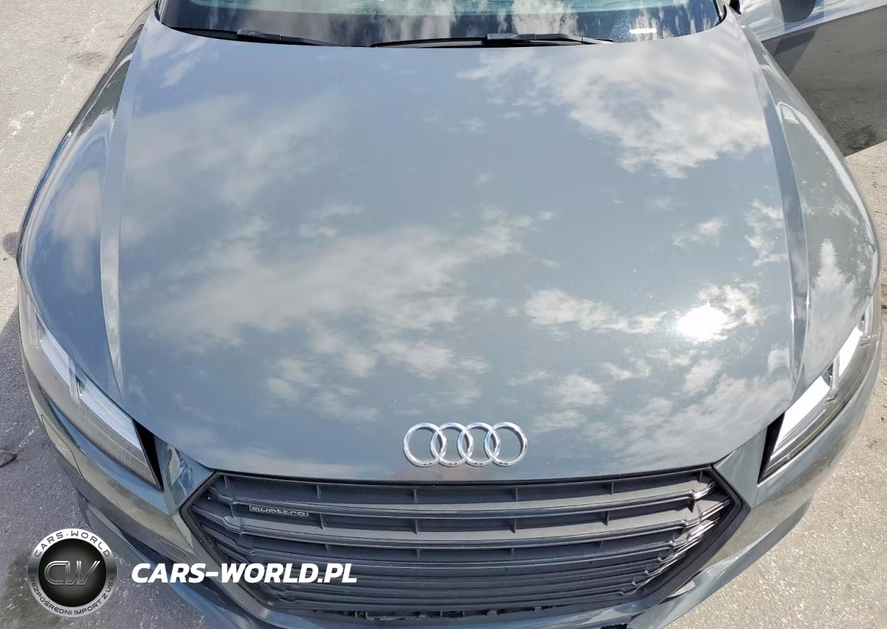 2017 Audi Tt VIN:TRUC5AFV8H1010214 - 11