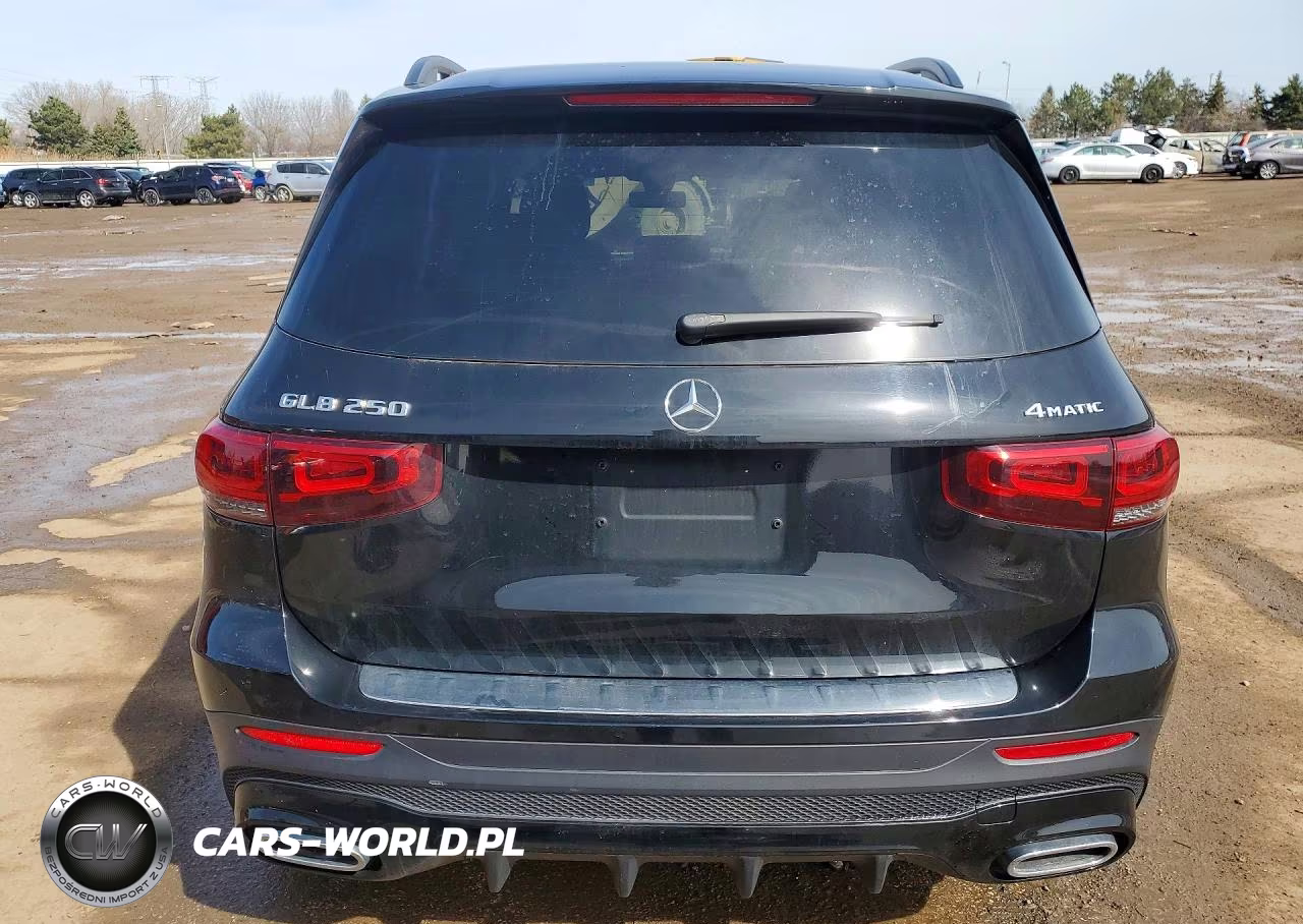 2021 Mercedes-Benz Glb 250 4Matic VIN:W1N4M4HBXMW123495 - 6