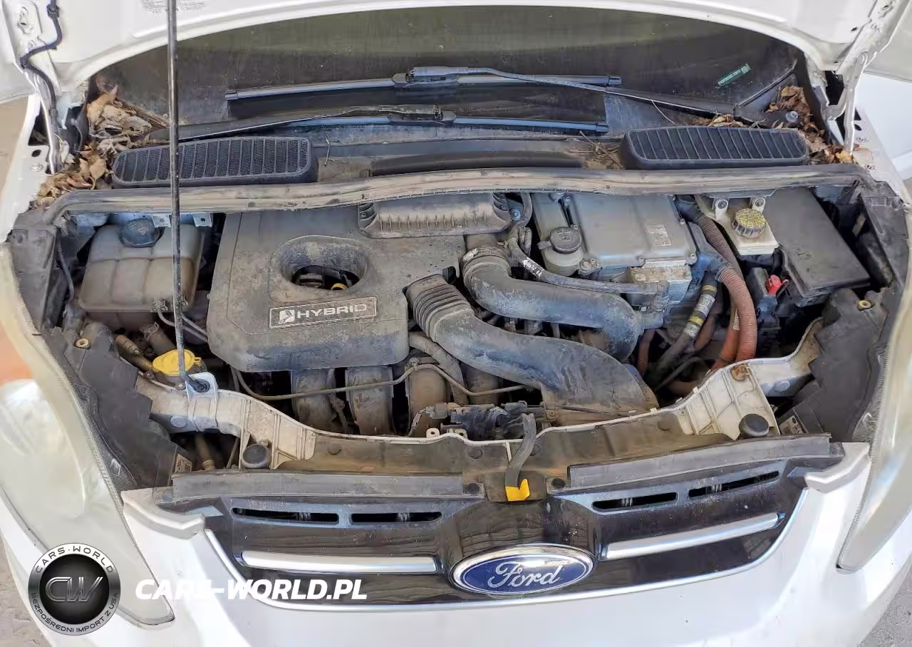 2016 Ford C-Max Sel VIN:1FADP5BUXGL120414 - 11
