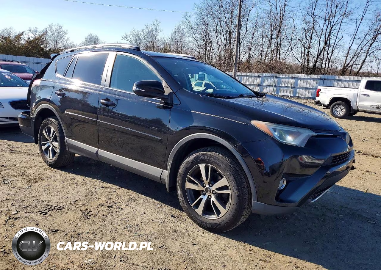 2017 Toyota Rav4 Xle VIN:2T3RFREV2HW641074 - 4