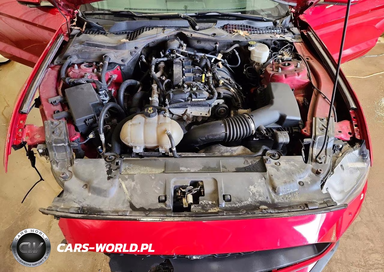 2022 Ford Mustang VIN:1FA6P8TH6N5110413 - 11