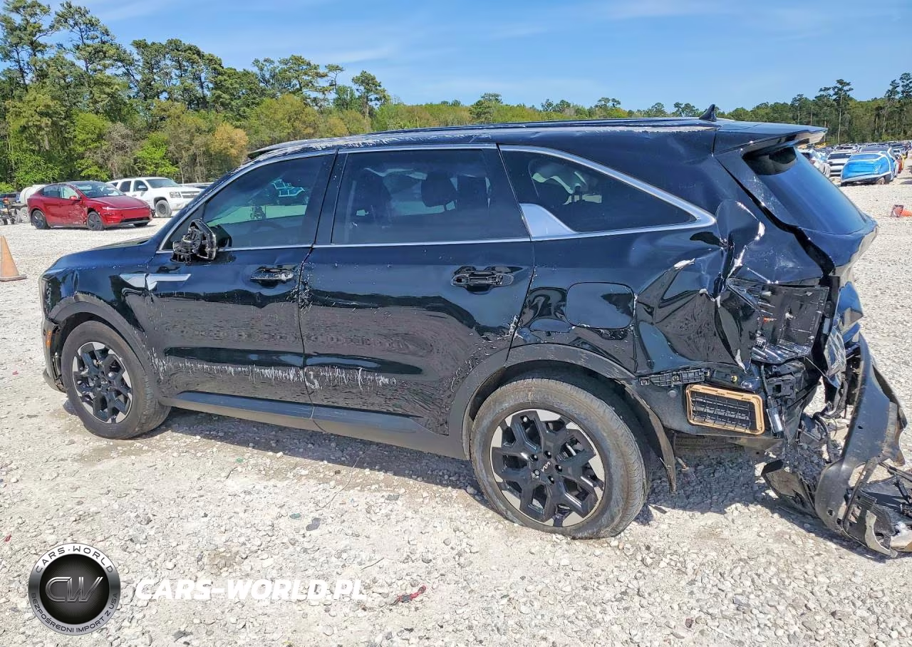 2024 Kia Sorento S VIN:5XYRL4JC9RG295671 - 2