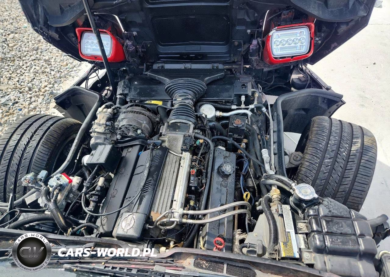1996 Chev Corvette VIN:1G1YY22P8T5118993 - 11