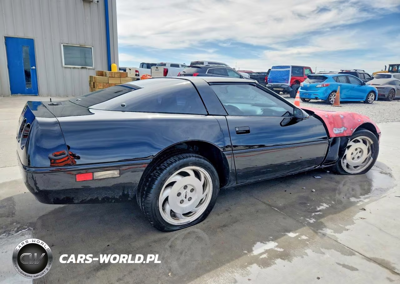 1996 Chev Corvette VIN:1G1YY22P8T5118993 - 3