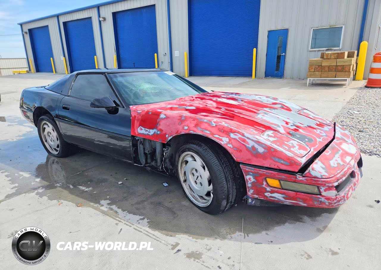 1996 Chev Corvette VIN:1G1YY22P8T5118993 - 4