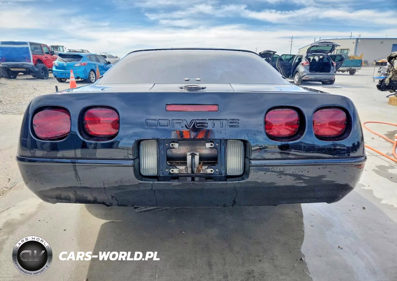 1996 Chev Corvette VIN:1G1YY22P8T5118993 - 6