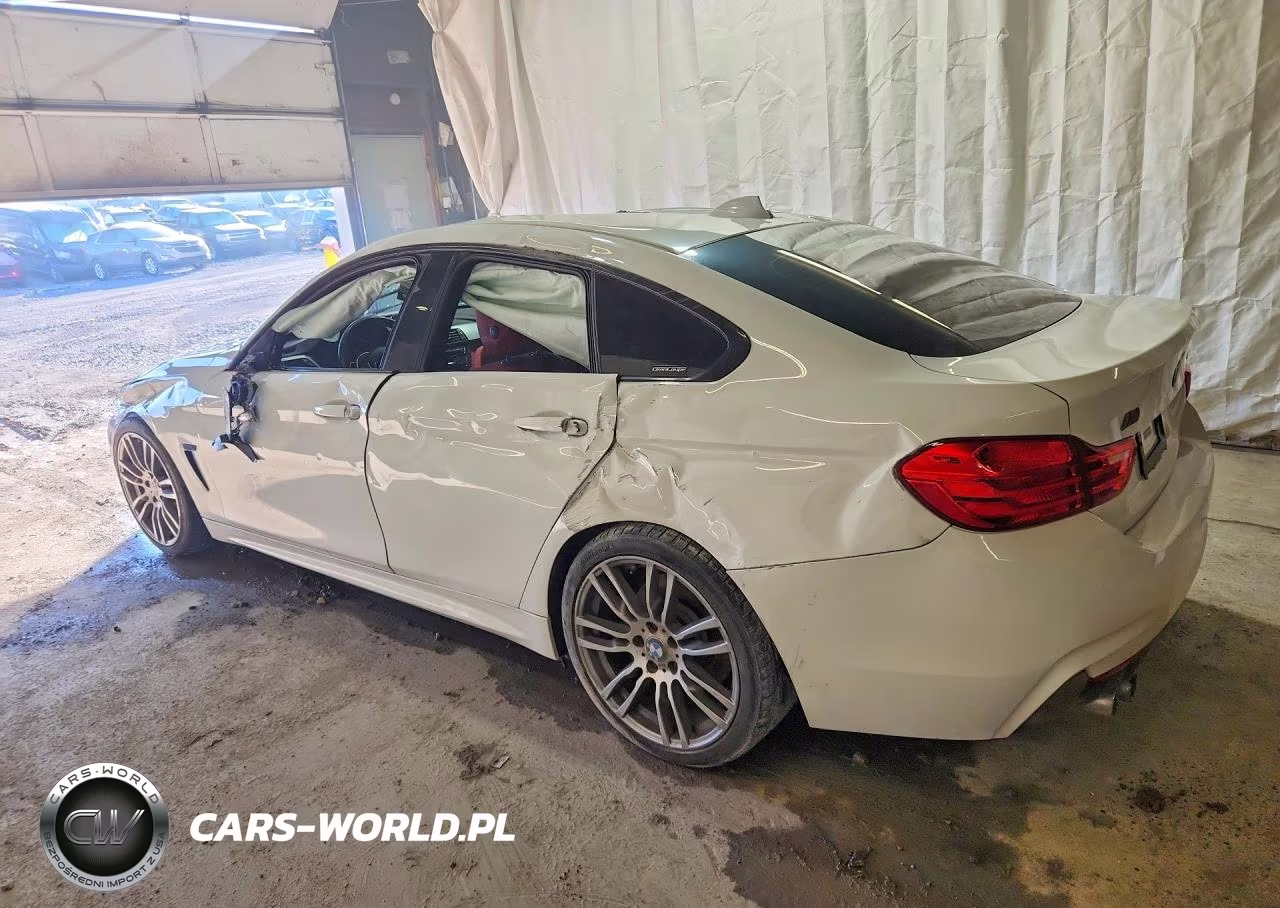 2017 BMW 430I Gran Coupe VIN:WBA4F7C31HG789175 - 2