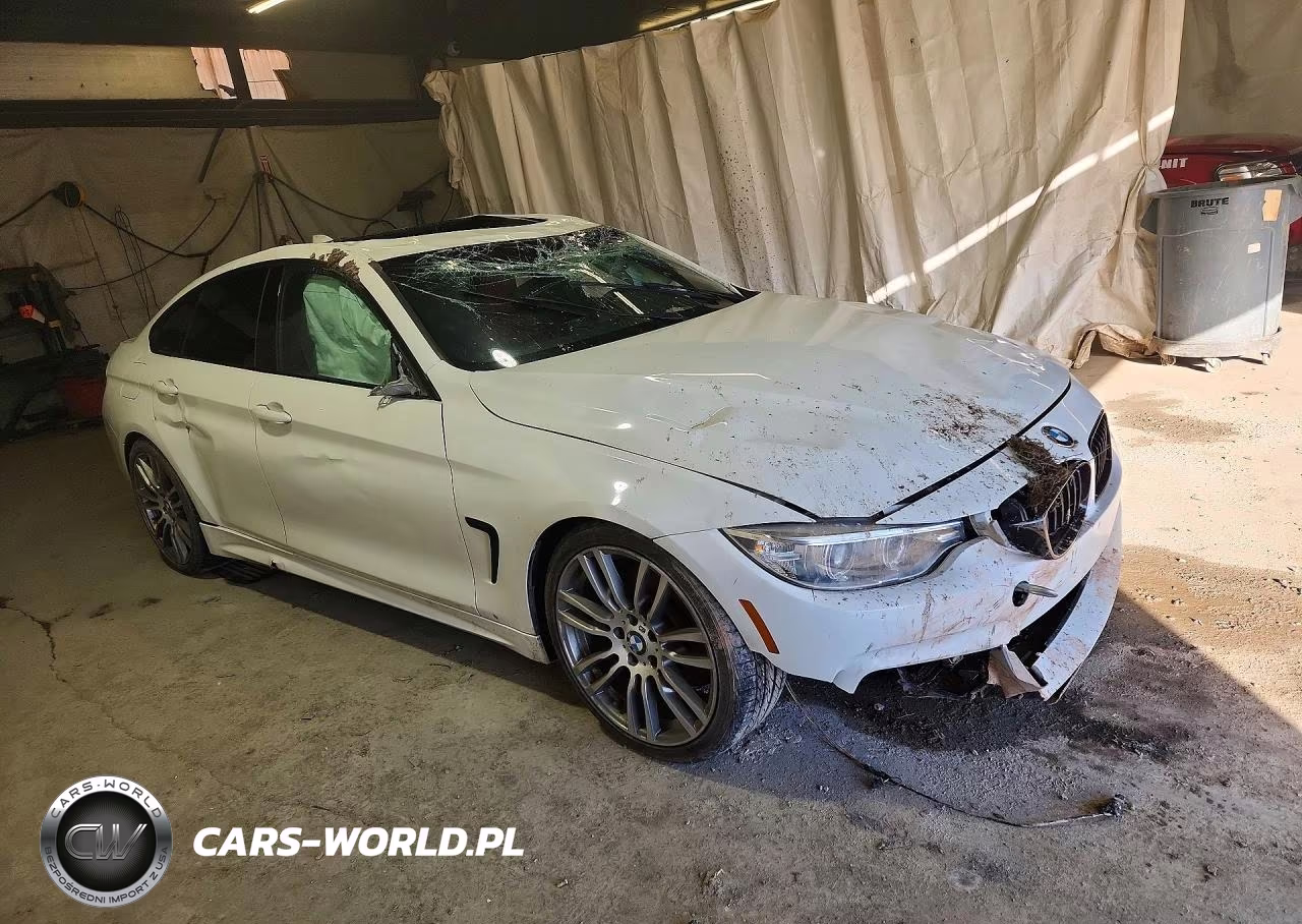 2017 BMW 430I Gran Coupe VIN:WBA4F7C31HG789175 - 4