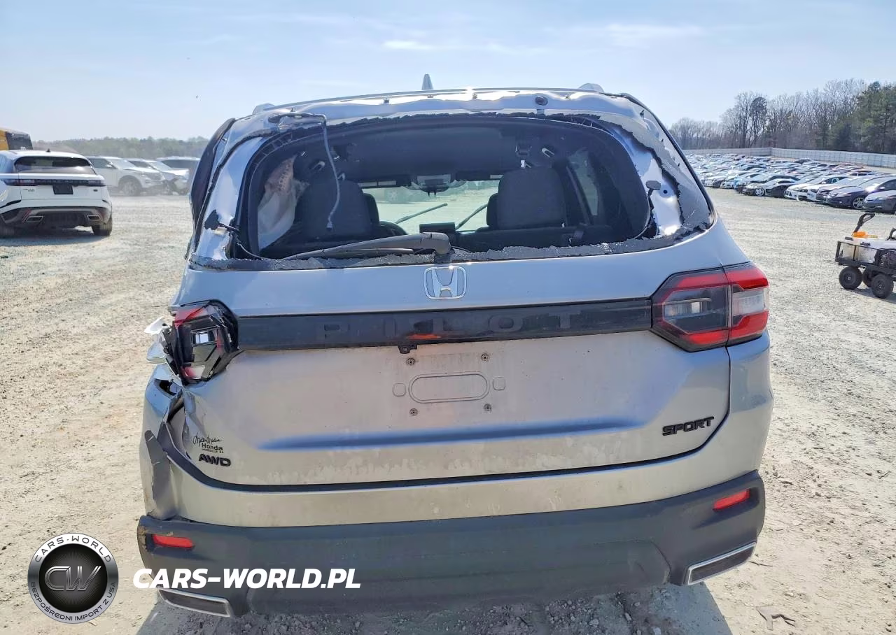 2025 Honda Pilot Sport VIN:5FNYG1H35SB064929 - 6