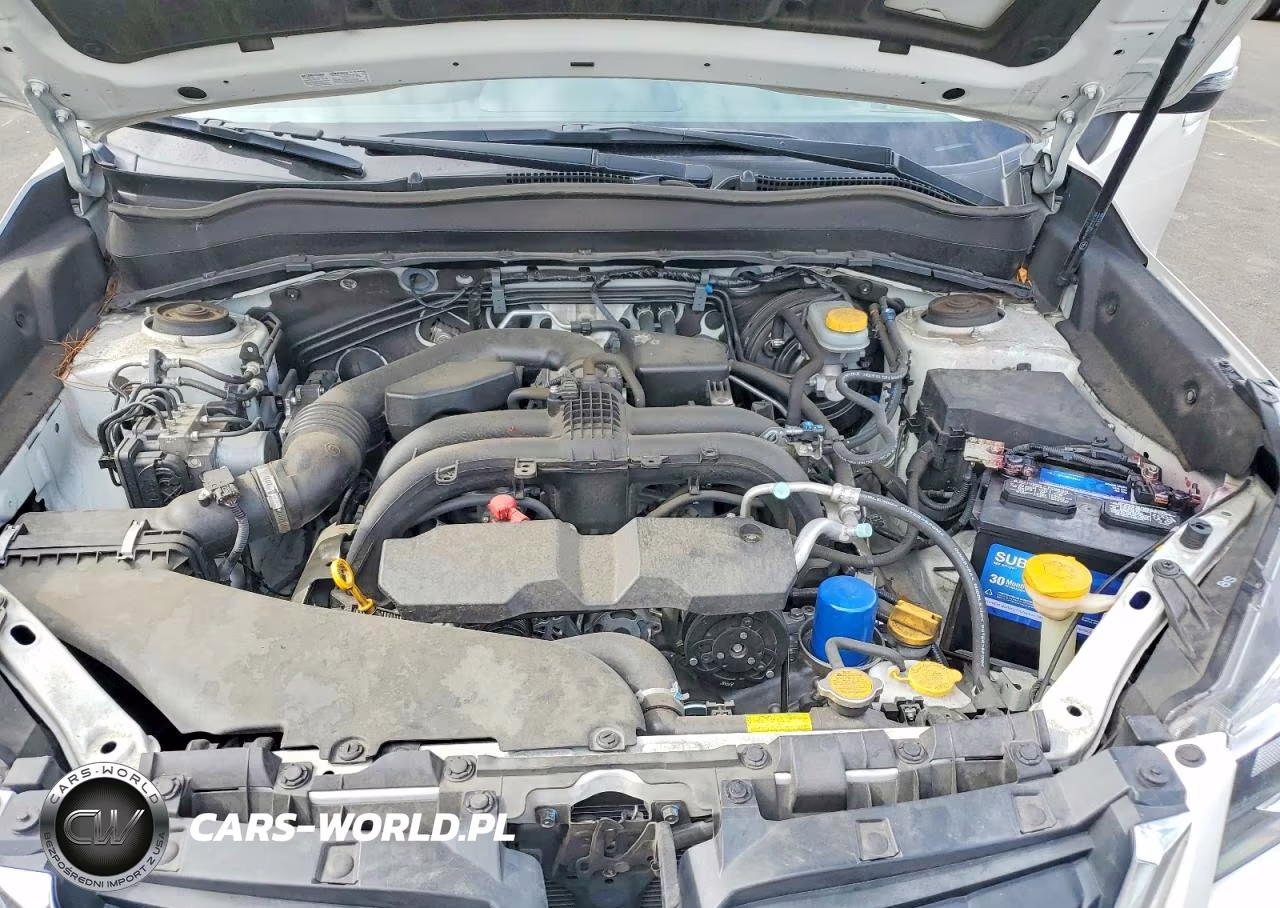 2017 Subaru Forester 2.5I Touring VIN:JF2SJAWC9HH428970 - 11