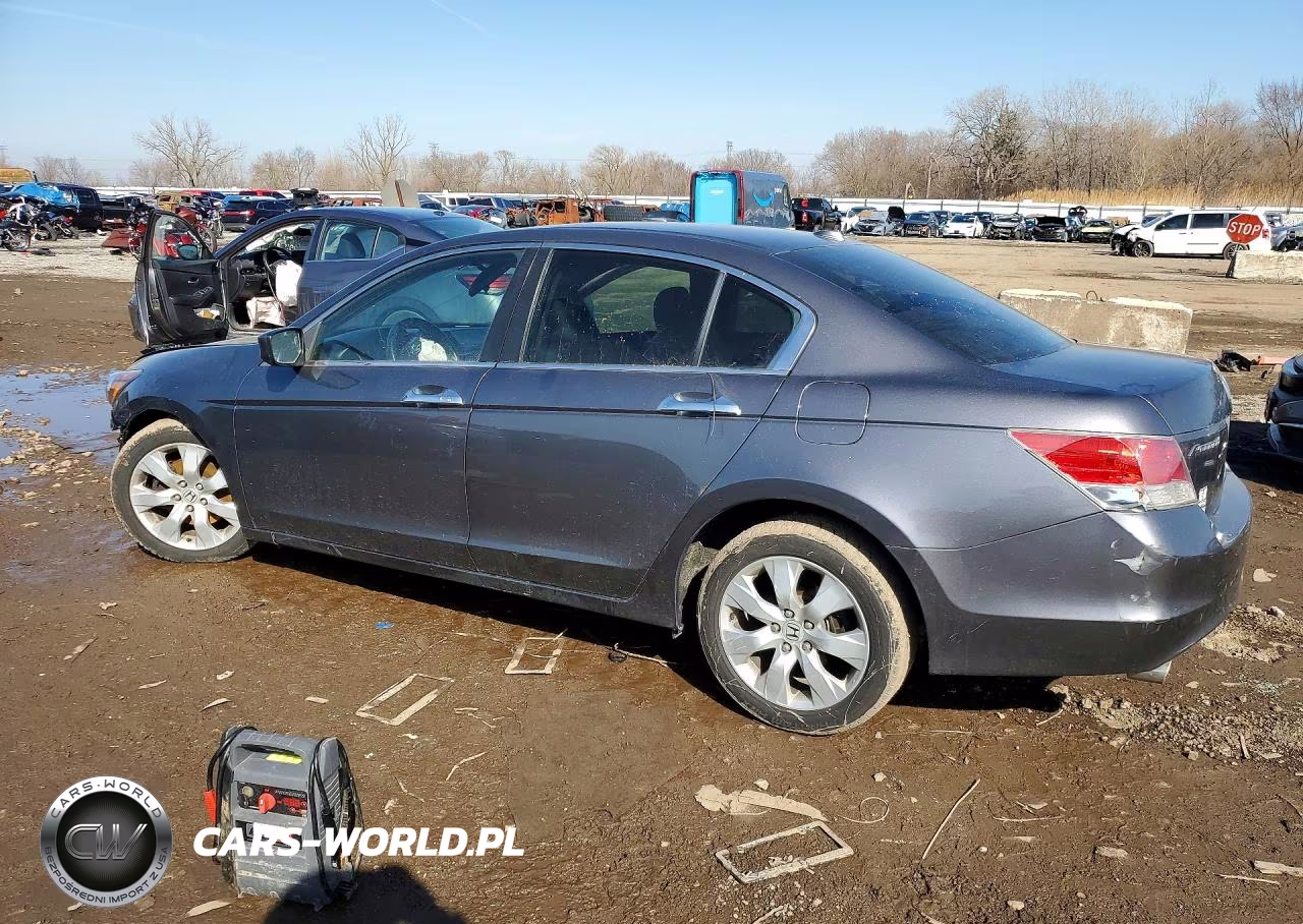 2010 Honda Accord Exl VIN:1HGCP3F8XAA028683 - 2