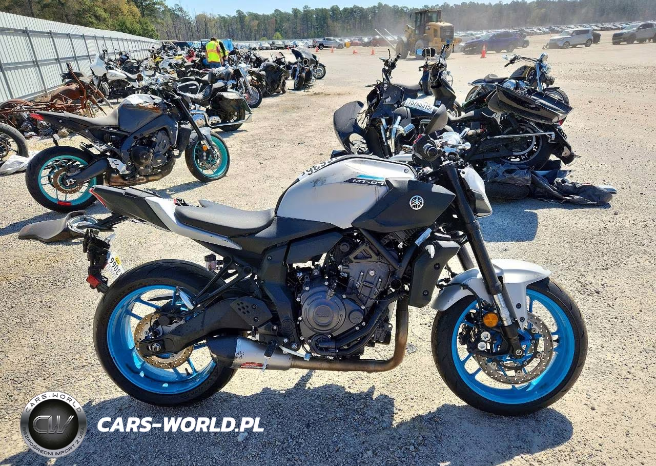 2025 Yamaha Mtn690 C