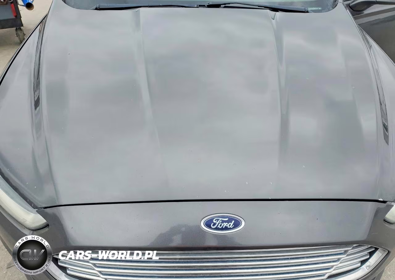 2016 Ford Fusion Se VIN:3FA6P0T90GR333105 - 11