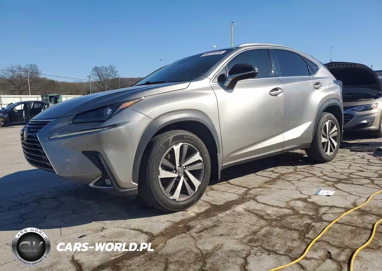 2018 Lexus Nx 300 Luxury