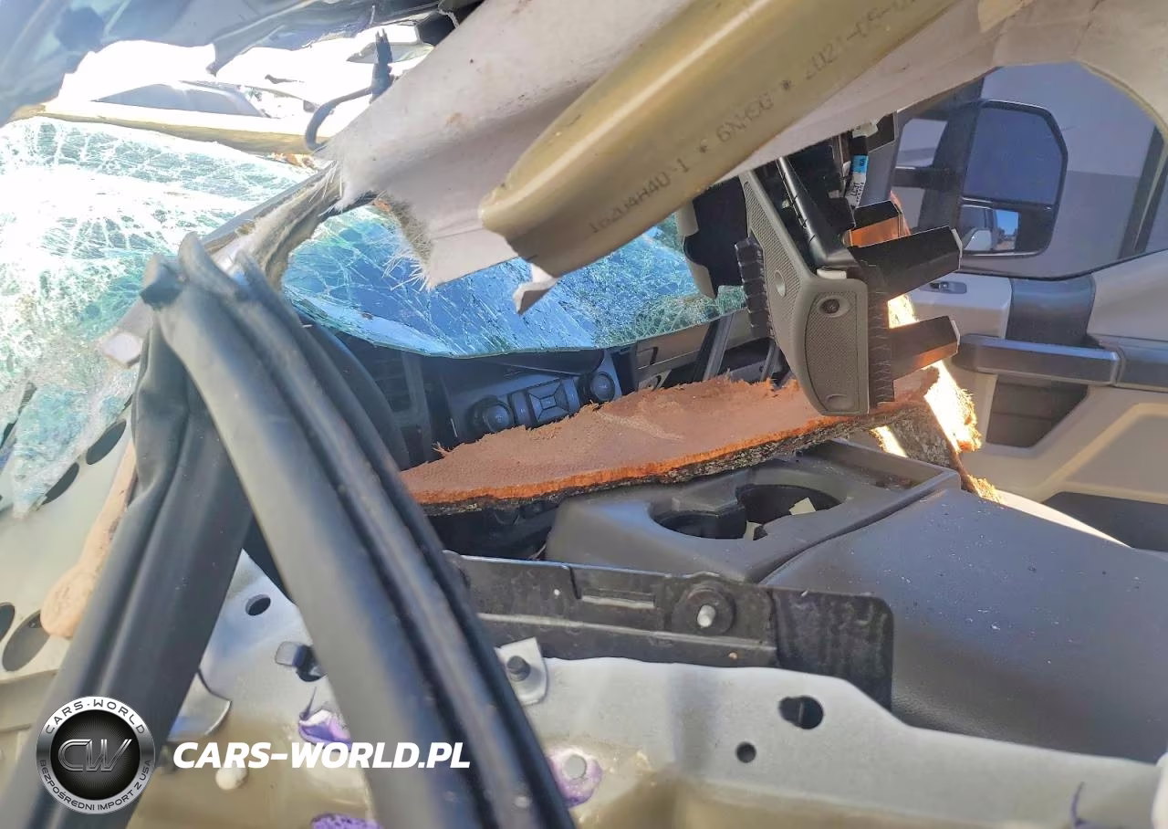 2021 Ford F350 Super Duty VIN:1FT8W3DT2MED76991 - 8
