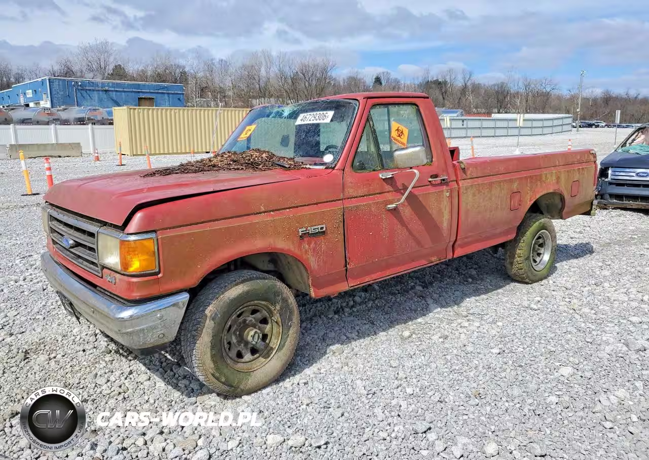 1989 Ford F150