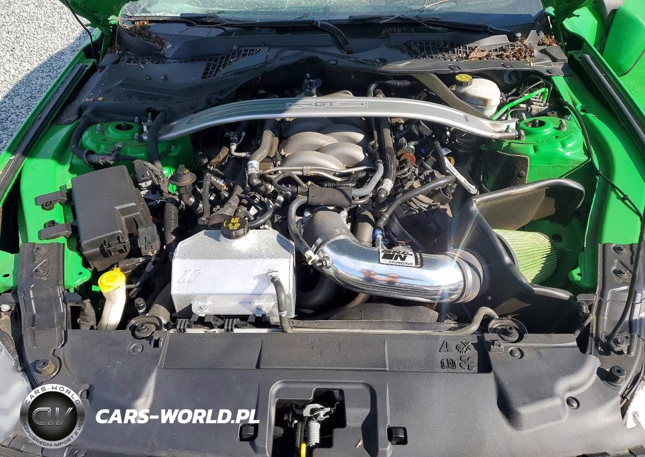 2019 Ford Mustang Gt VIN:1FA6P8CF9K5200567 - 11