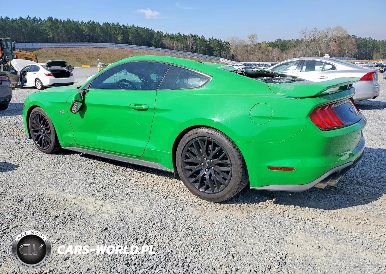 2019 Ford Mustang Gt VIN:1FA6P8CF9K5200567 - 2