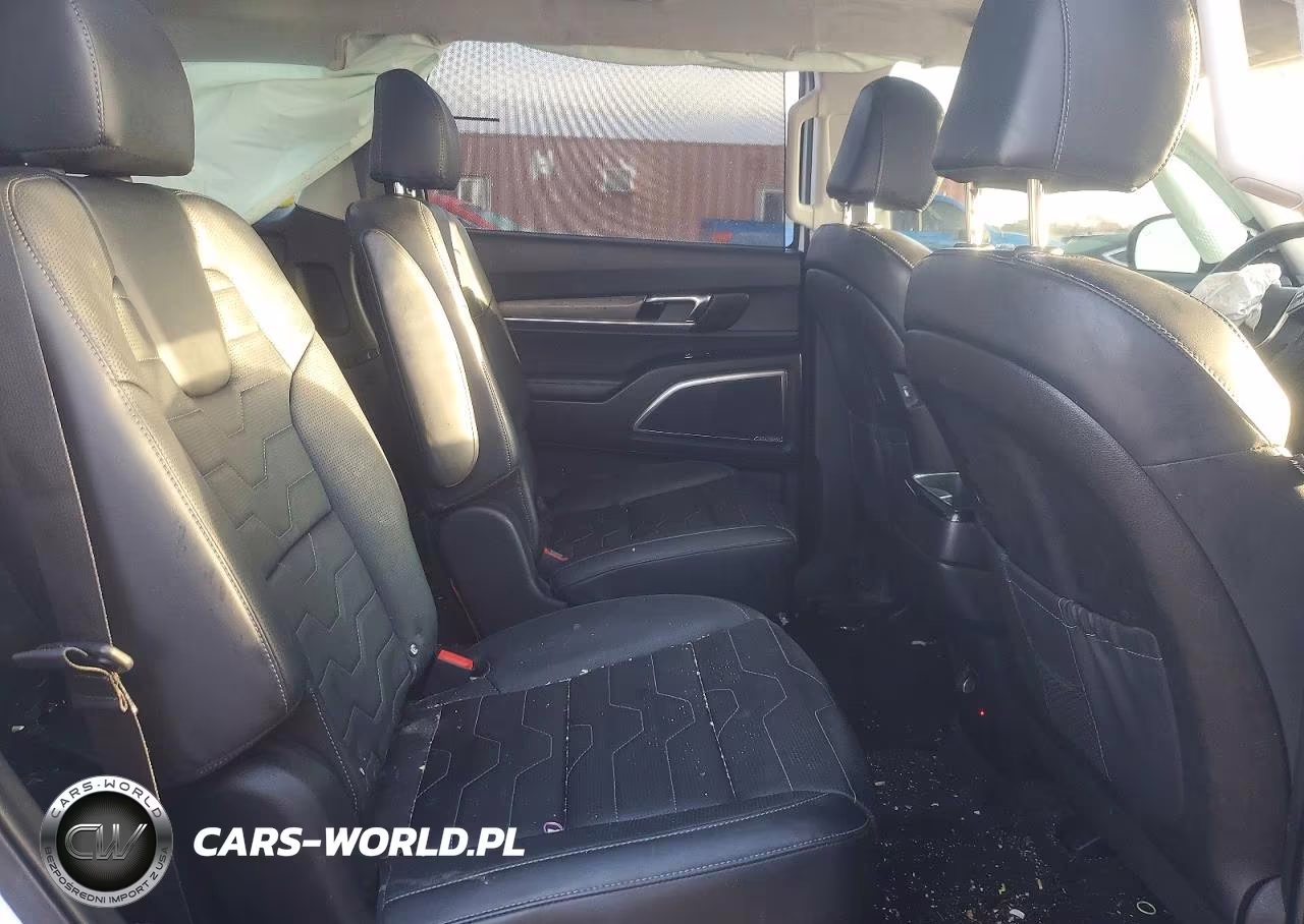 2022 Kia Telluride Sx VIN:5XYP5DHC2NG209103 - 11