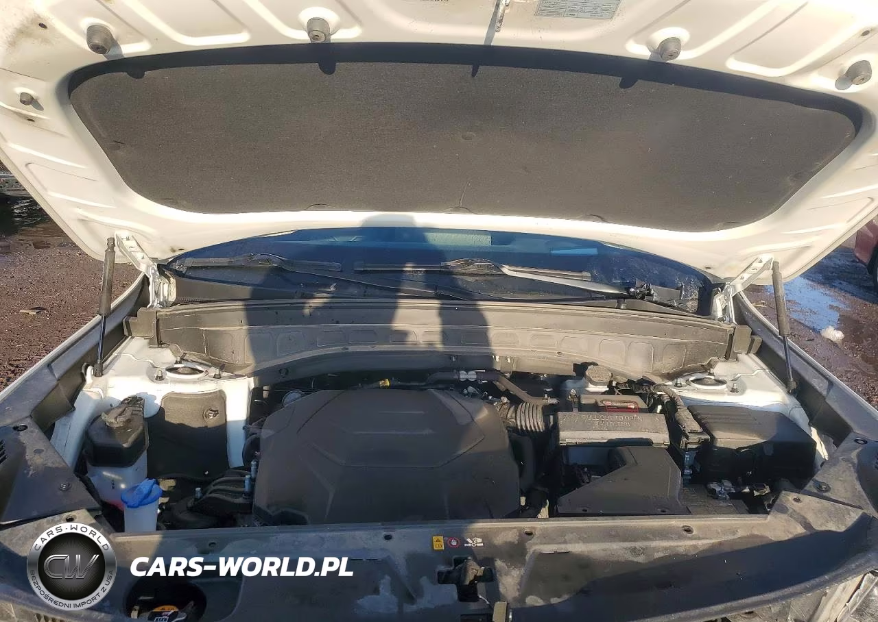 2022 Kia Telluride Sx VIN:5XYP5DHC2NG209103 - 12