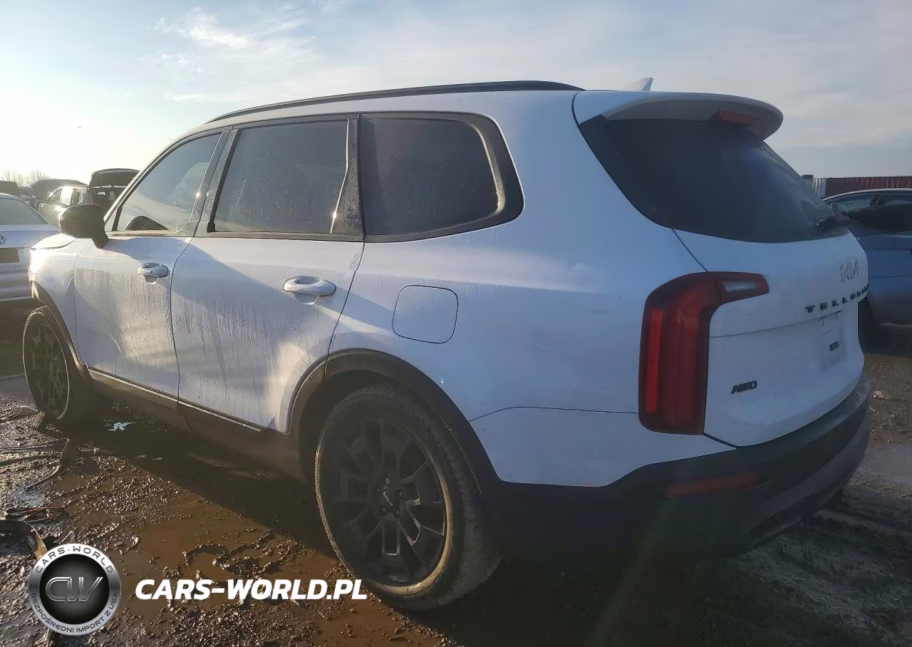 2022 Kia Telluride Sx VIN:5XYP5DHC2NG209103 - 2