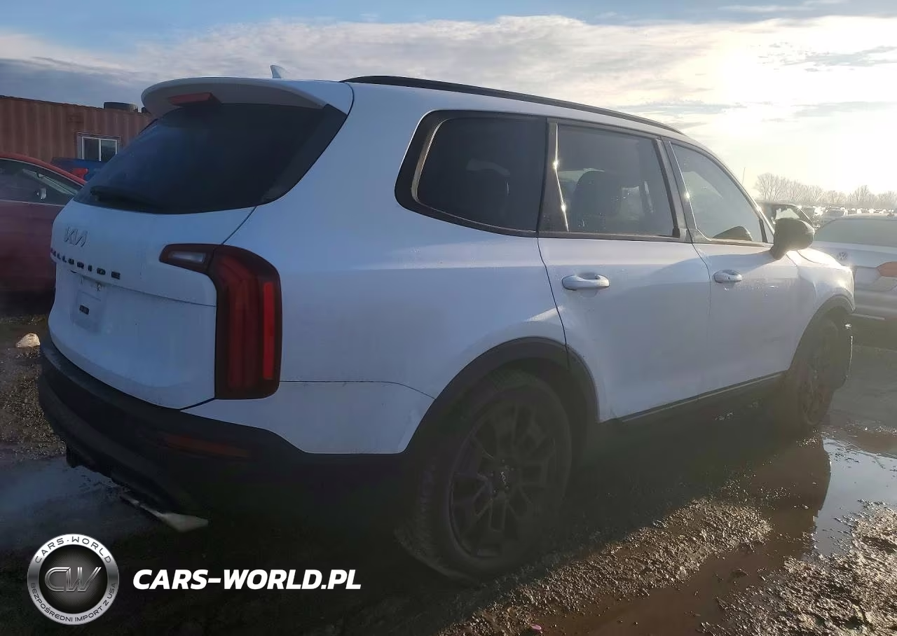 2022 Kia Telluride Sx VIN:5XYP5DHC2NG209103 - 3