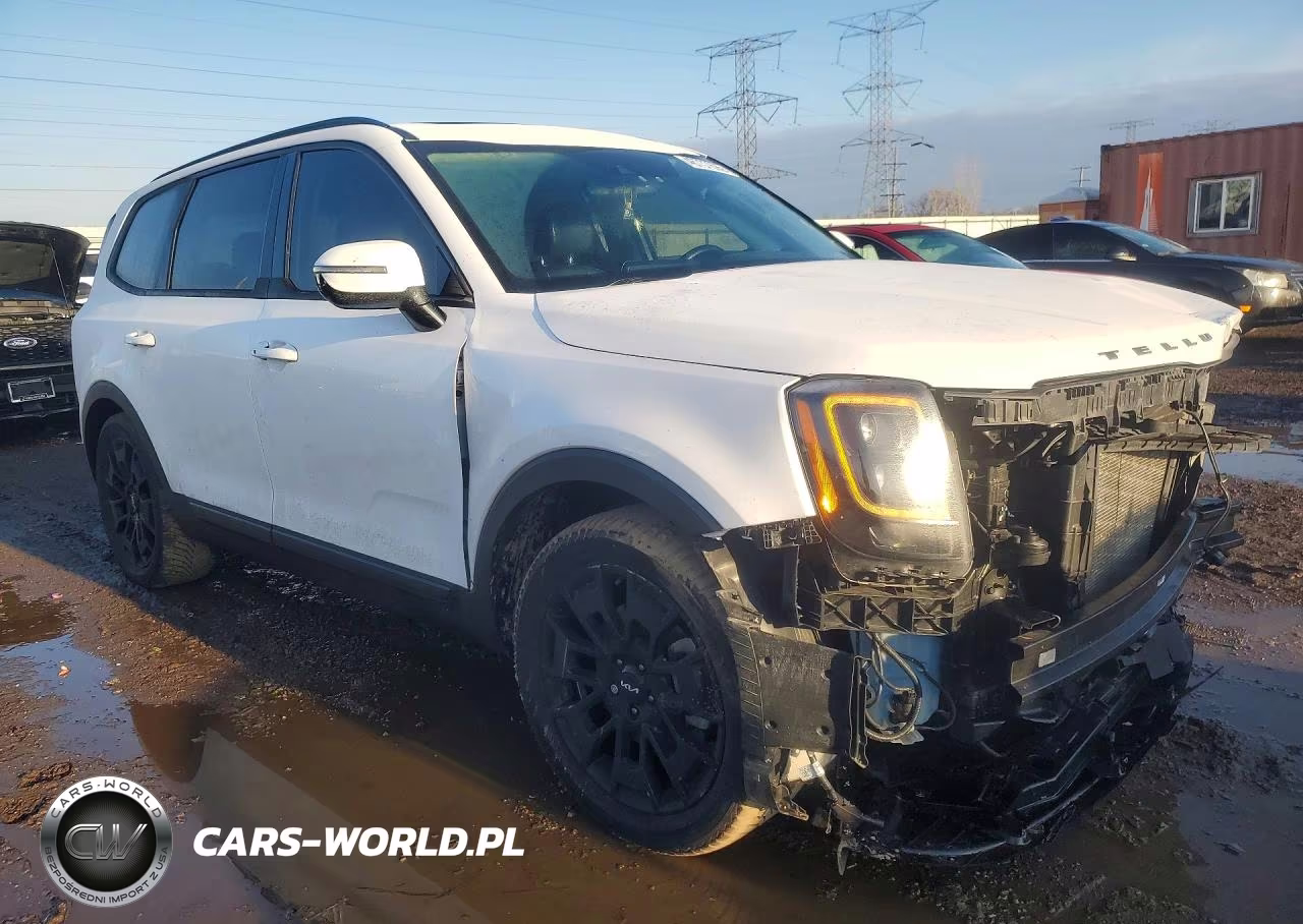 2022 Kia Telluride Sx VIN:5XYP5DHC2NG209103 - 4
